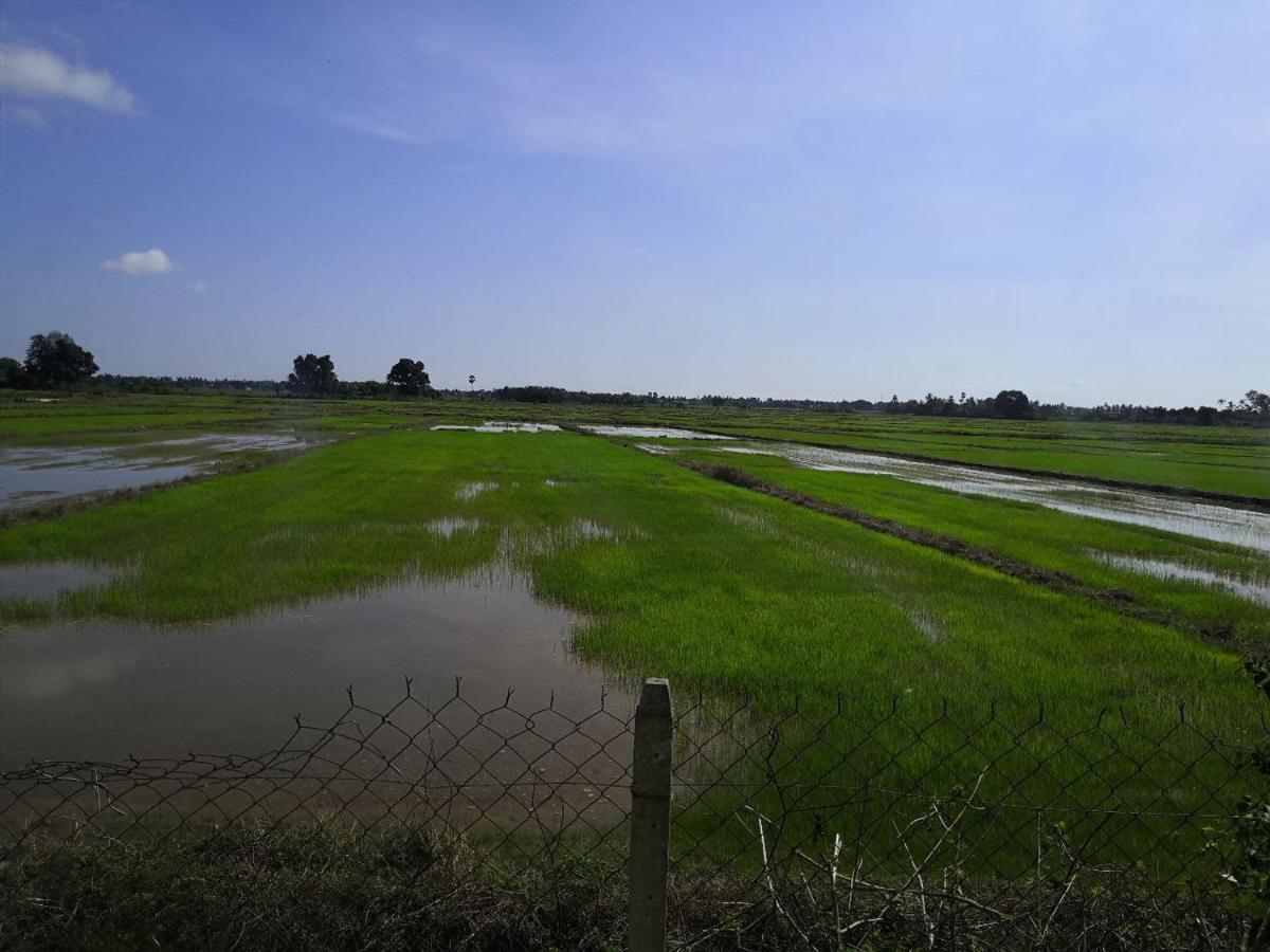Ummi'S Homestay Besut 瓜拉勿述 外观 照片